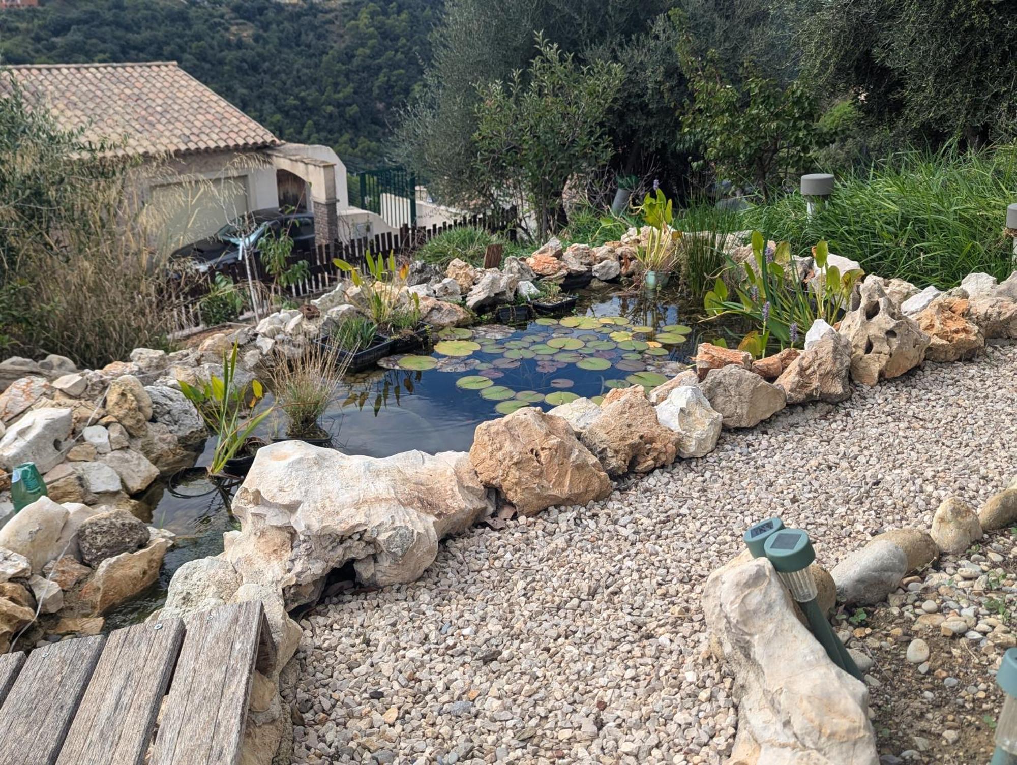Maison L'aloe Gjestgiverier *